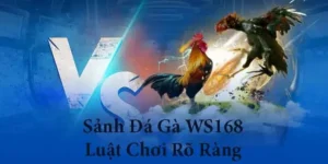 Làm Chủ Sàn Đấu Đá Gà WS168 Tại 88CLB Thắng Tiền Triệu