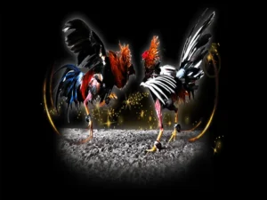 Chinh Phục Đá Gà Sabong Tại 88CLB Với Chiến Thuật Đỉnh Cao