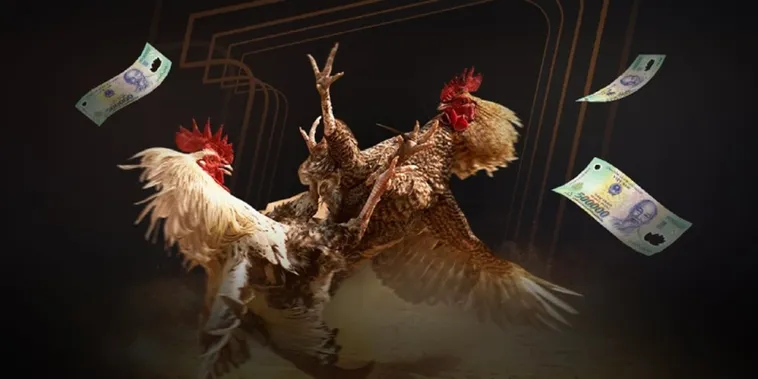 Đá Gà 88CLB Trực Tiếp Những Trận Cầu Kinh Điển Hàng Đầu